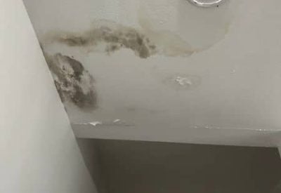 rot repair